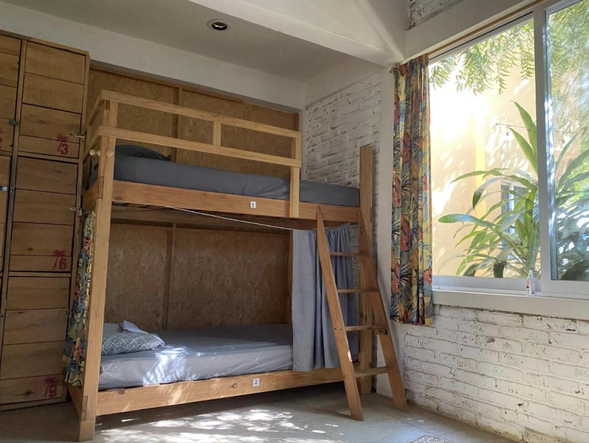 פוארטו אסקונדידו La Palmera Hostel מראה חיצוני תמונה